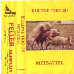 Kuldne Trio 20 - Metsateel