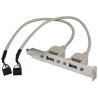 USB 2.0 Bracket with  25 cm